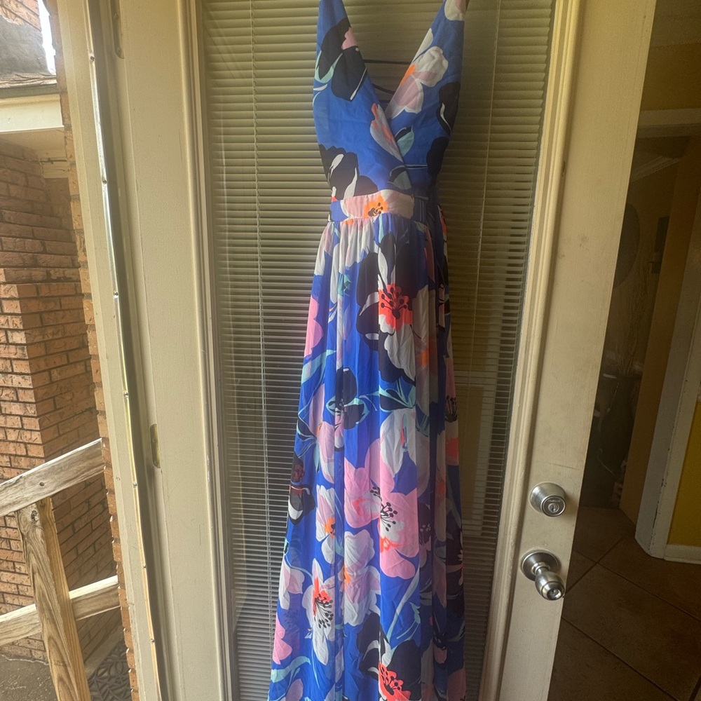 Express Blue and Pink Sleeveless V-Neck Maxi Sundress